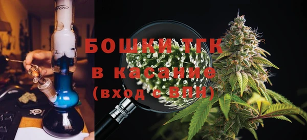 ПСИЛОЦИБИНОВЫЕ ГРИБЫ Алексеевка