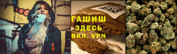 spice Абаза
